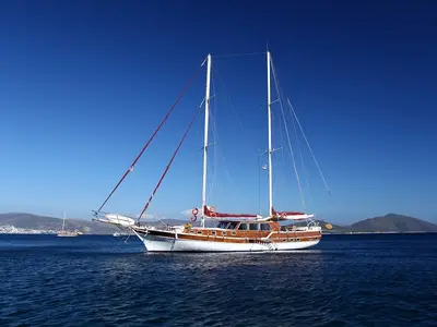 Perrinita