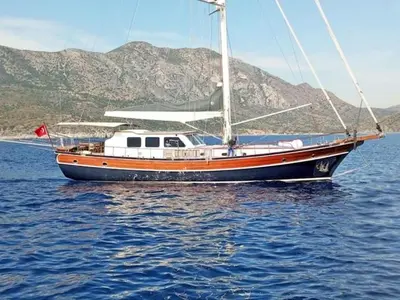 Carpe Diem Coral