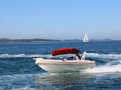 Barracuda 590 - 11
