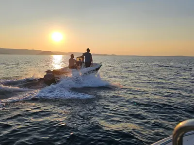 Milos IV