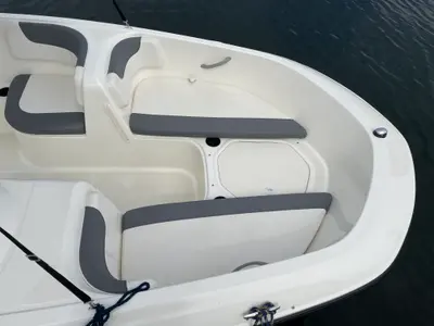 Bayliner E16, a Bayliner Bayliner E16 motorboat at Göhren-Lebbin, Germany