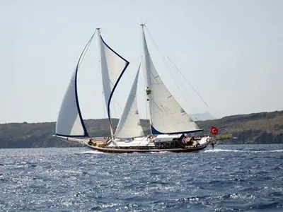 Bibi Aysegul