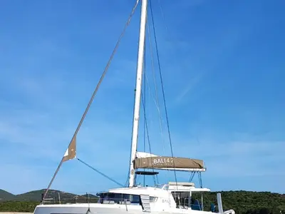 Ziphius