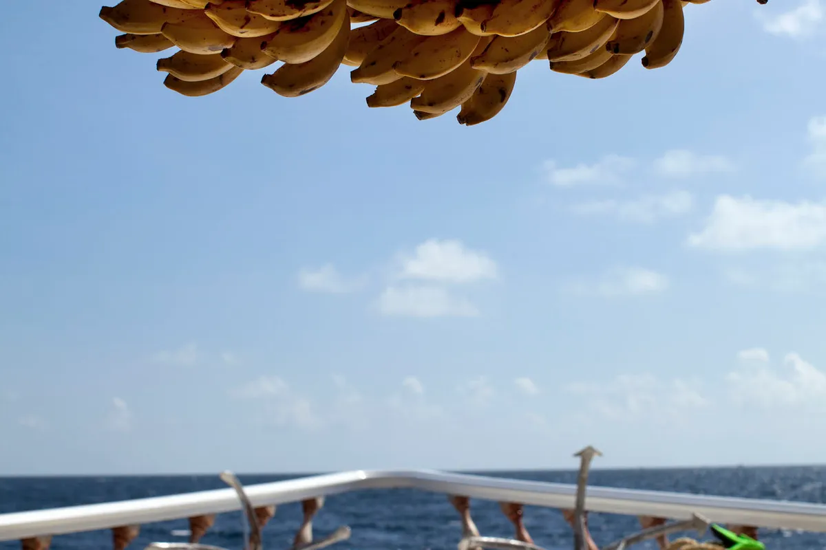 CAB2, a Motoryacht Motoryacht yacht at Malé, Maldives