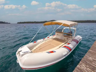 Barracuda 530