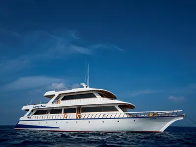 Conte Max, a Motoryacht Motoryacht yacht at Malé, Maldives