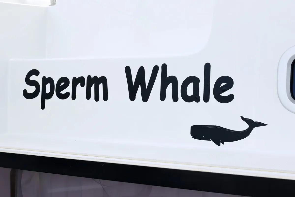 Sperm Whale, a Lagoon 42 catamaran at Općina Sukošan, Croatia