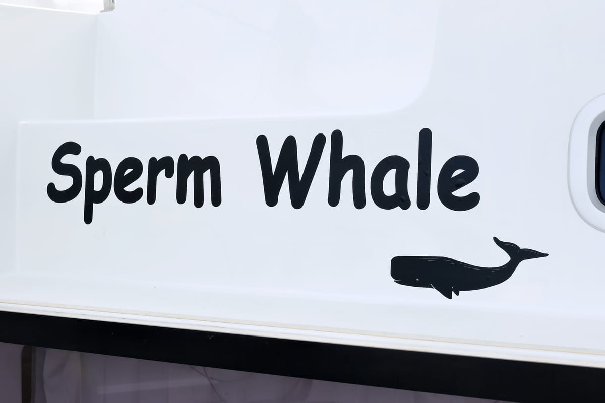 Sperm Whale, a Lagoon 42 catamaran at Općina Sukošan, Croatia