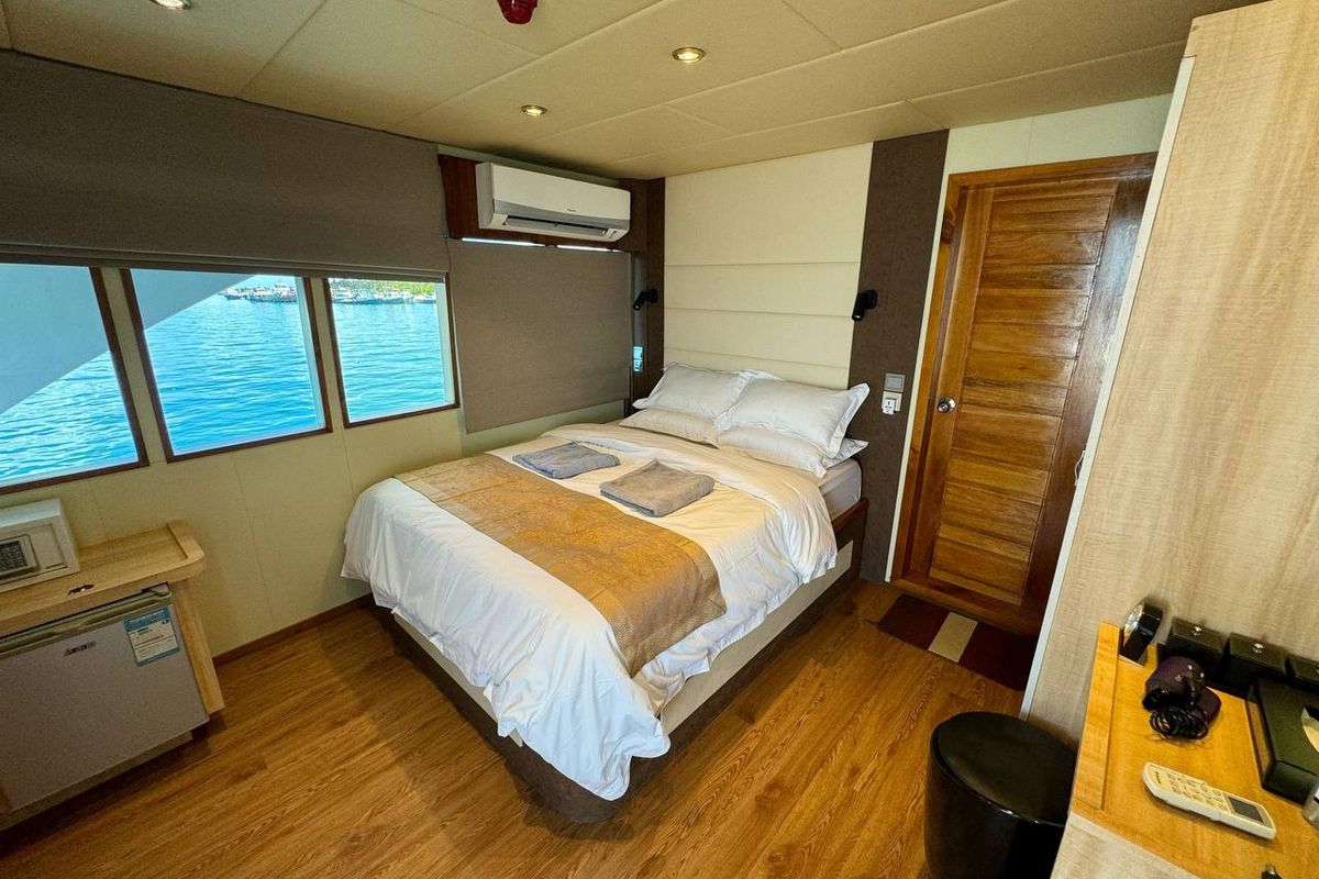 Cabin on North Seven, a Gulet Motoryacht yacht at Malé, Maldives