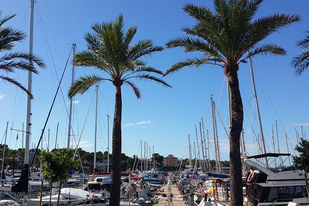 Quantum, a Bavaria Cruiser 50 sailboat at Llucmajor, Spain