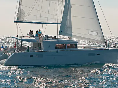 Gatto di Mare