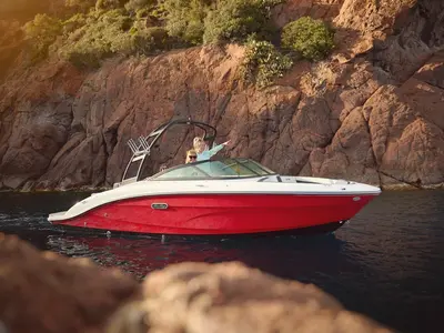 Sea Ray SPX 210