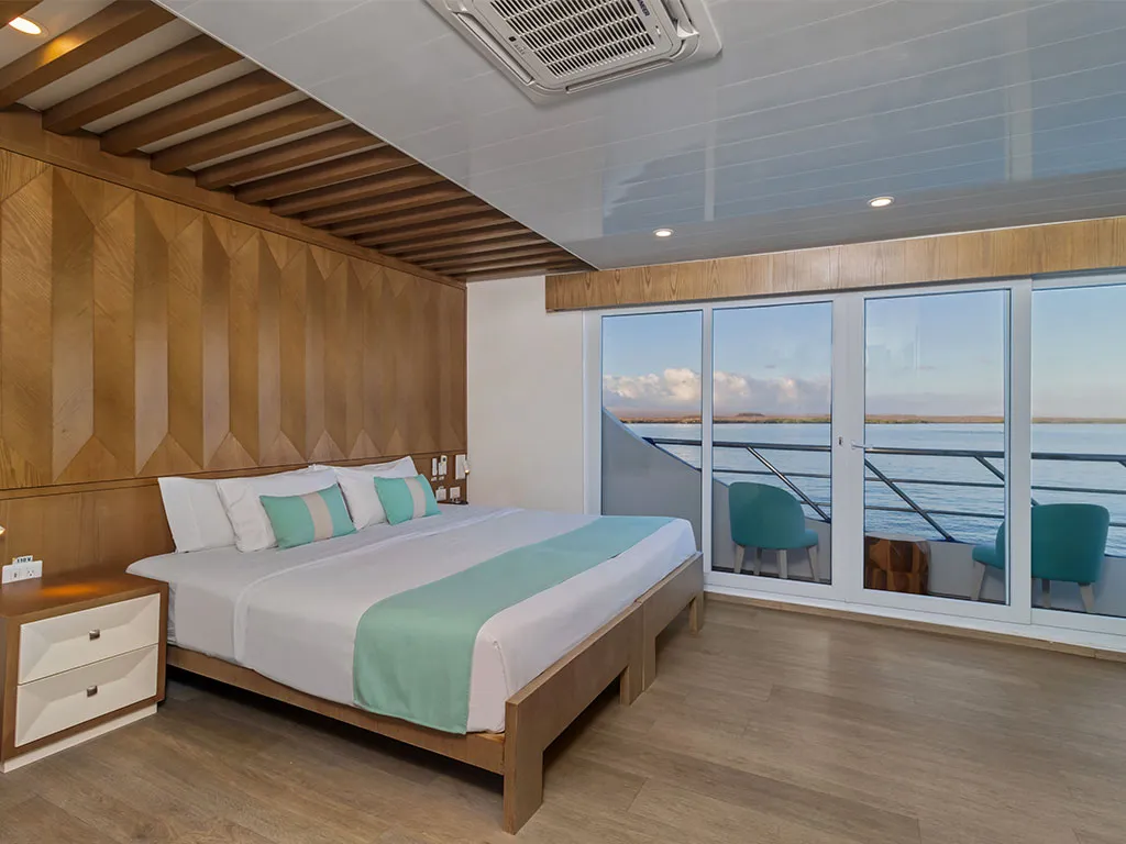 Cabin on Endemic - Cabin 5, a Gulet Power Catamaran catamaran at Baltra, Ecuador