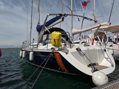 Morning Light