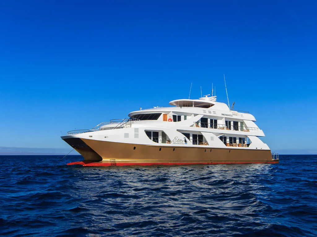 Exterior view of Elite, a Gulet Power Catamaran catamaran at Baltra, Ecuador