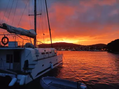 UPWIND 50