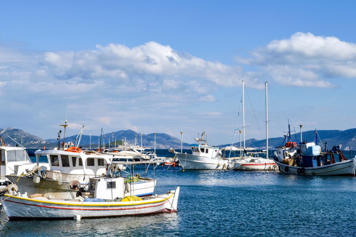 Μαρίνα Πάχης Μεγάρων - Photo 2
