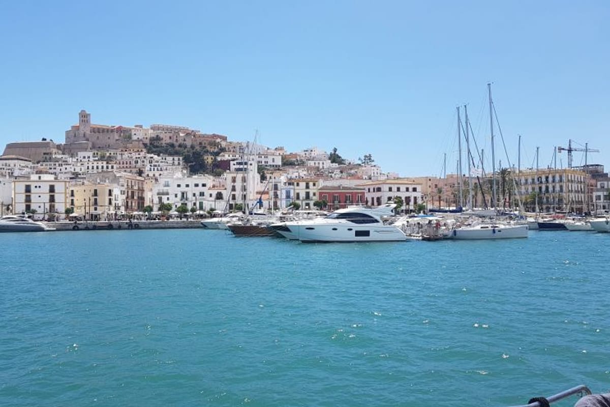 Ibiza Magna - Photo 4