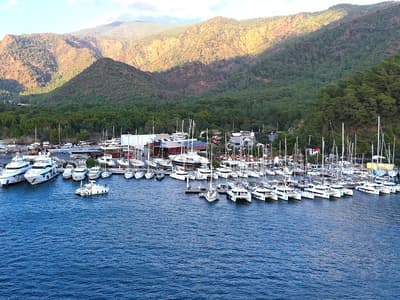 Albatros Marina - Photo 4