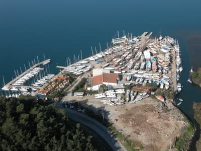 Albatros Marina - Photo 5