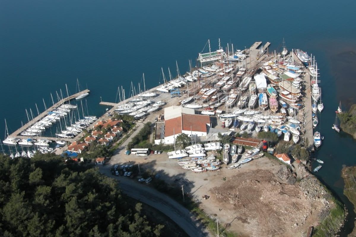 Albatros Marina - Photo 5