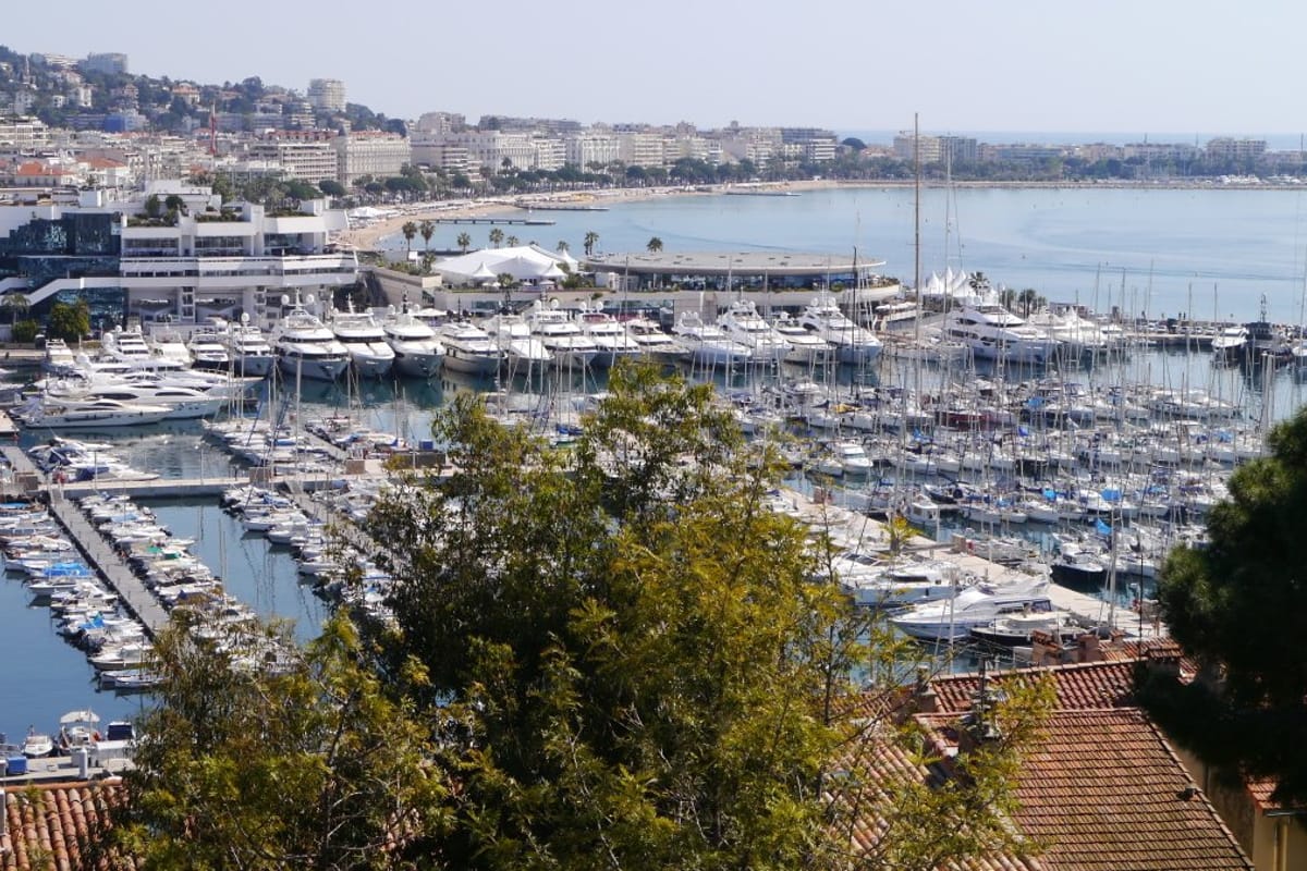 Port de Cannes-Marina - Photo 4
