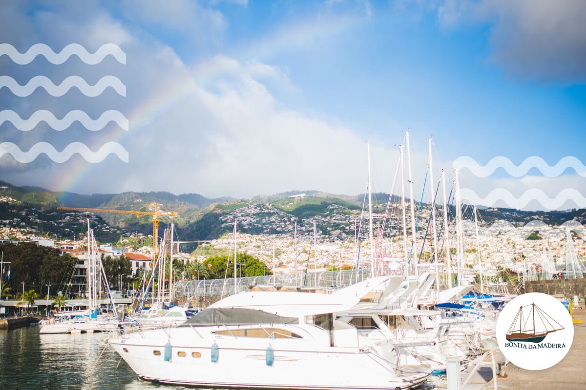 Marina do Funchal - Photo 4