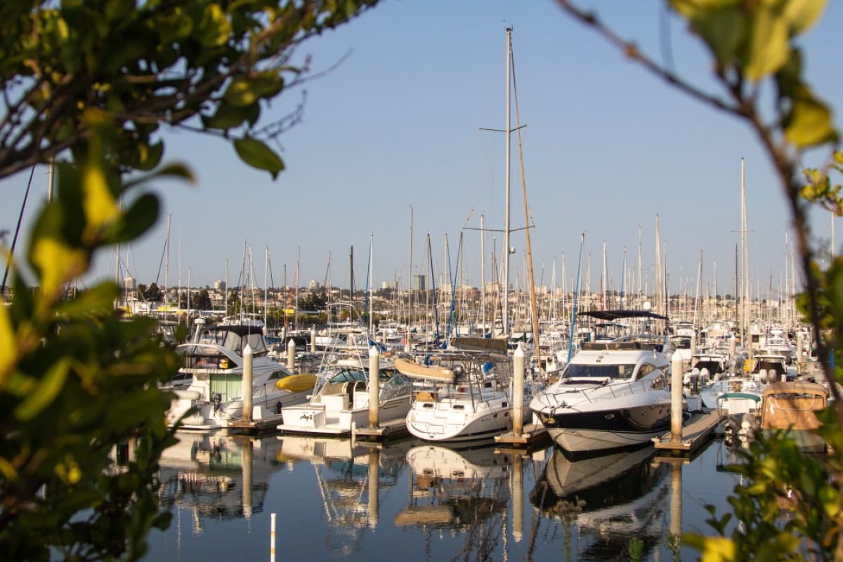 Sunroad Resort Marina - Photo 4