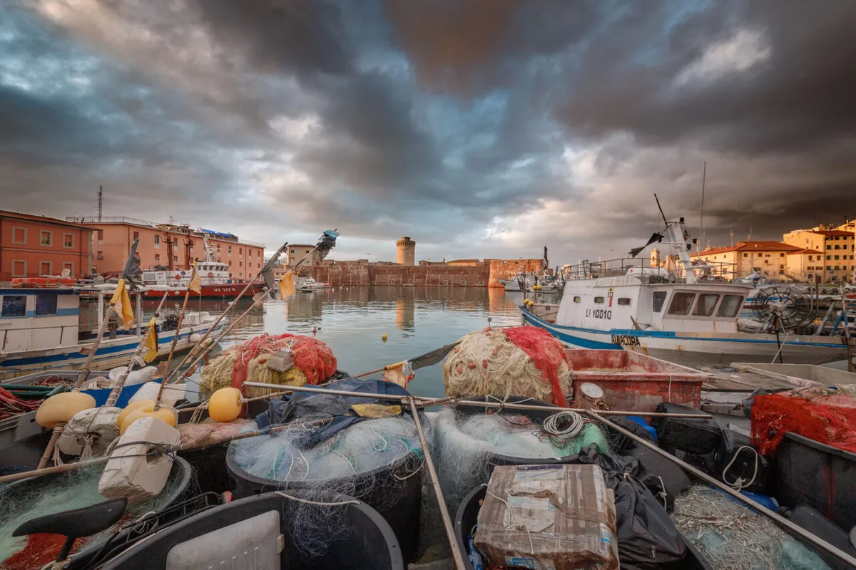 Darsena Medicea - Photo 1