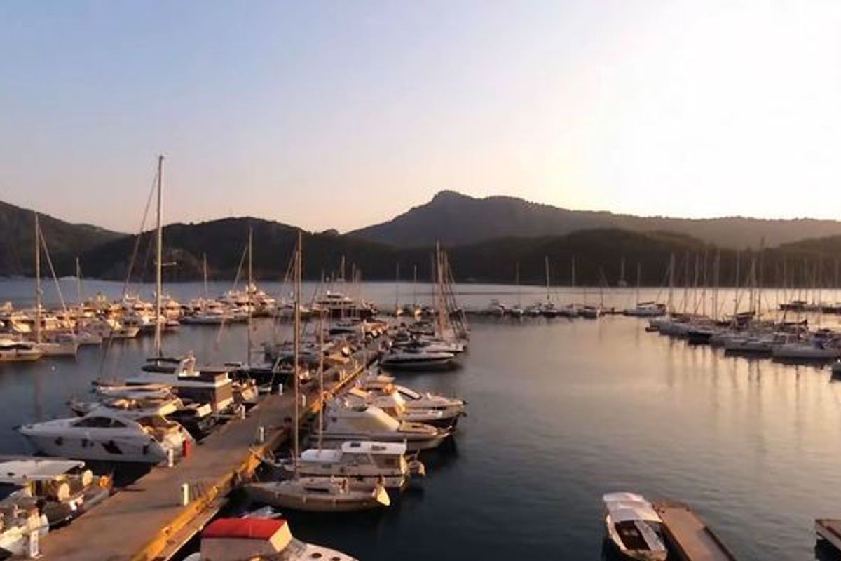 Marti Marina - Photo 2