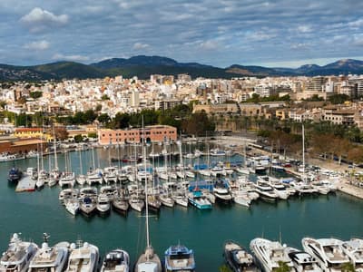 Palma de Mallorca, La Lonja - Photo 2
