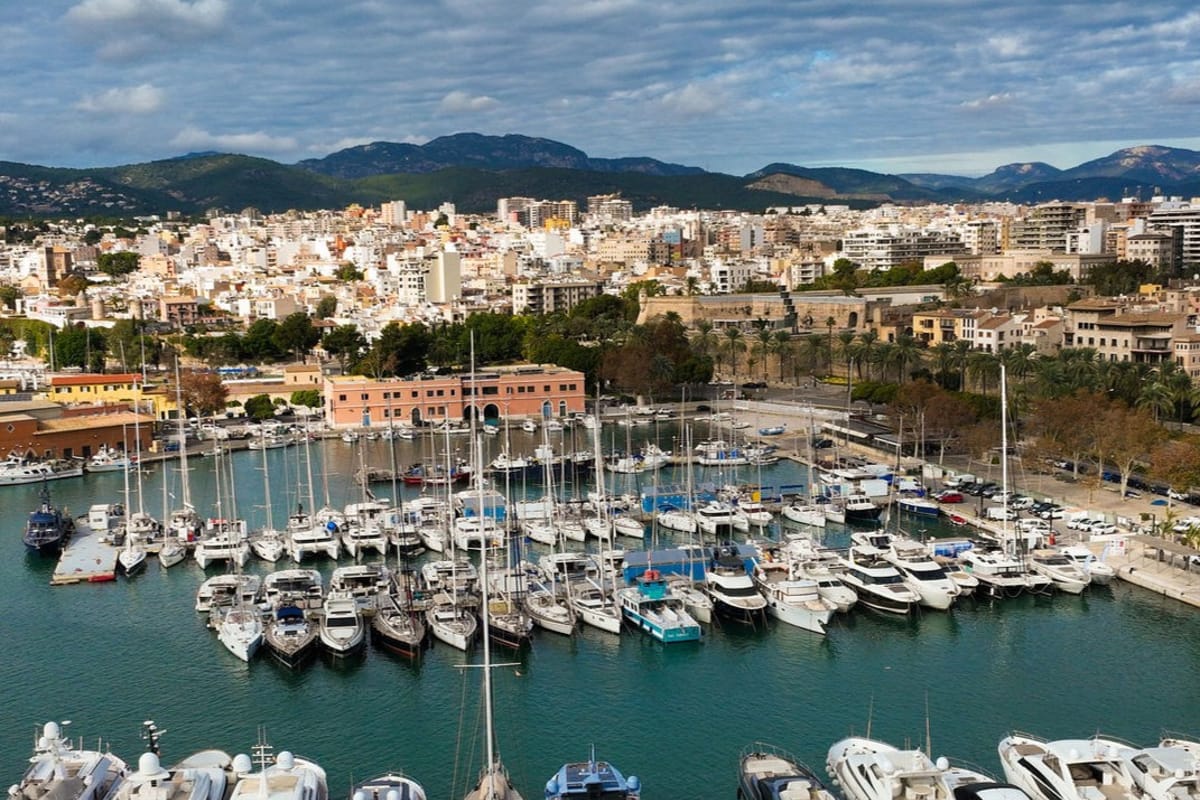Palma de Mallorca, La Lonja - Photo 2