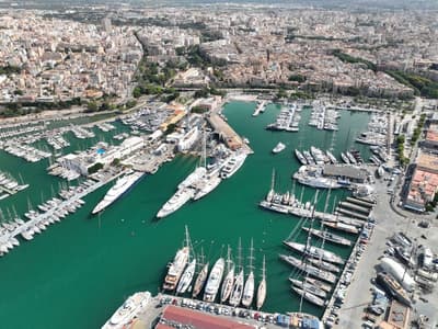 Palma de Mallorca, La Lonja - Photo 3
