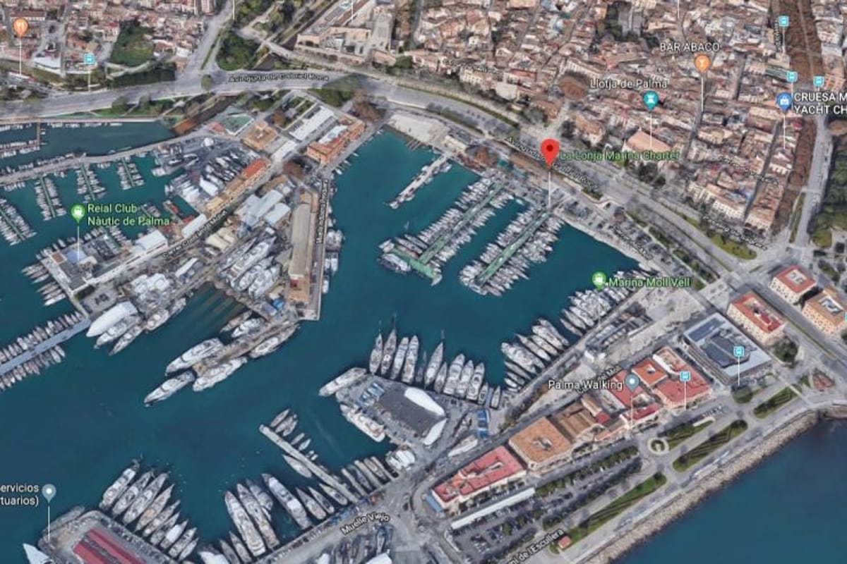 Palma de Mallorca, La Lonja - Photo 4