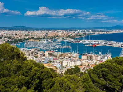 Palma de Mallorca, La Lonja - Photo 5