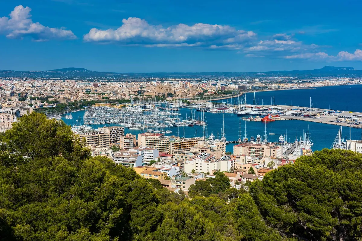 Palma de Mallorca, La Lonja - Photo 5