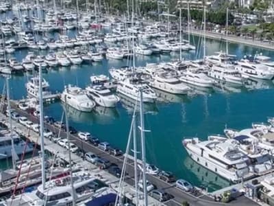 Palma de Mallorca, Pantalan del Mediterraneo - Photo 4