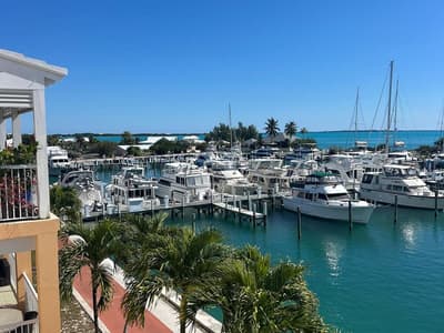 Bahamas, Abacos, Boat Harbour Marina - Photo 5