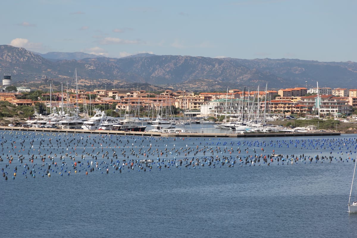 Marina di Olbia - Main photo