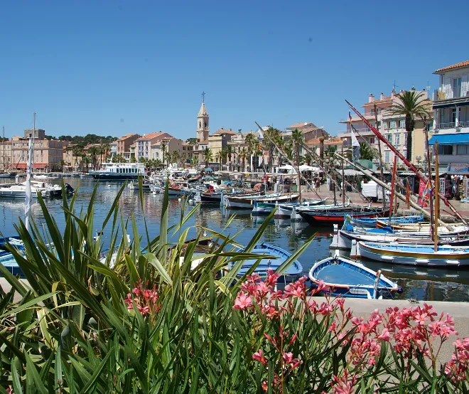Bandol - Photo 3