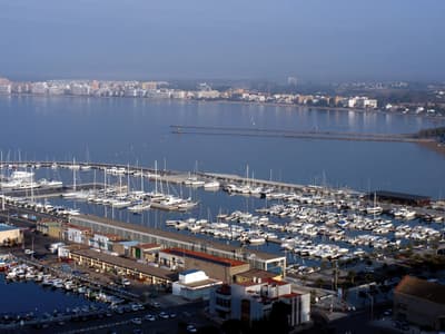 Port Roses - Photo 3