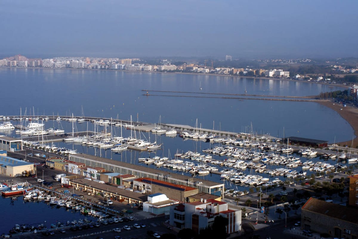 Port Roses - Photo 3