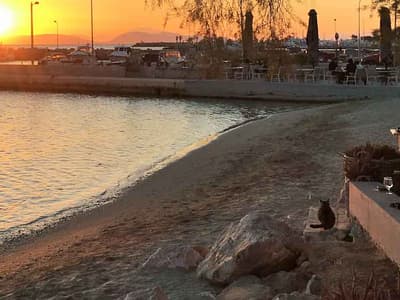 3rd Marina Glyfada - Photo 4
