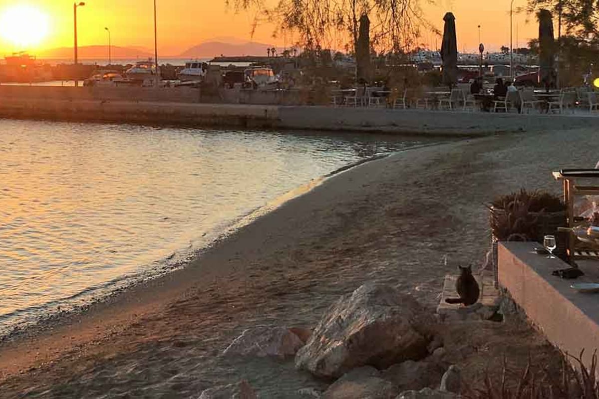 3rd Marina Glyfada - Photo 4