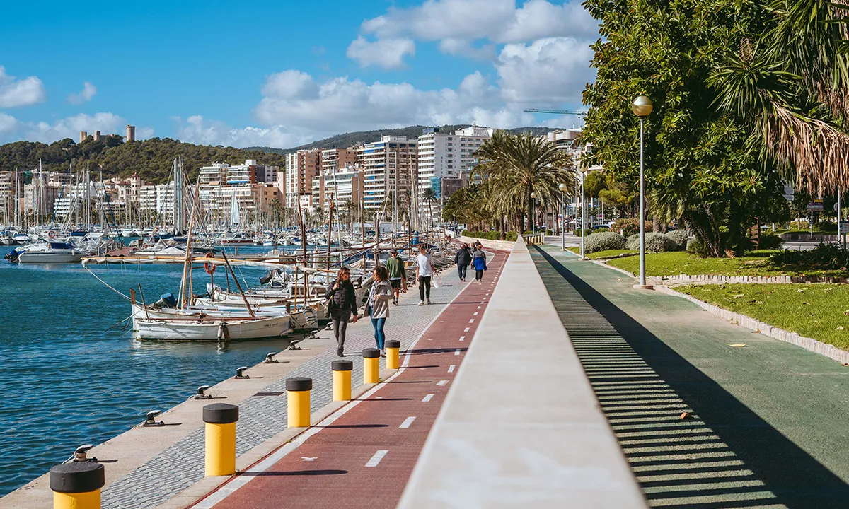 Palma - Photo 3