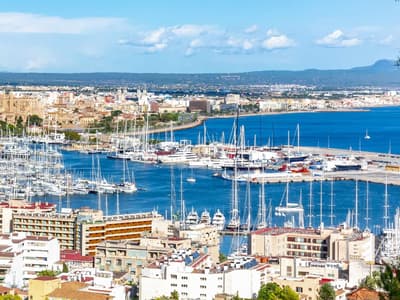 Pantalan del Mediterraneo - Photo 4