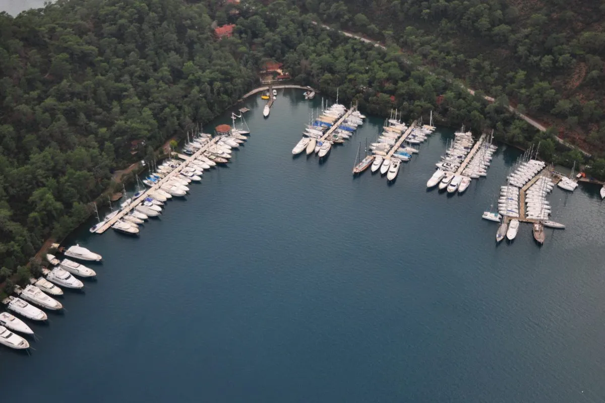 Club Marina - Photo 4