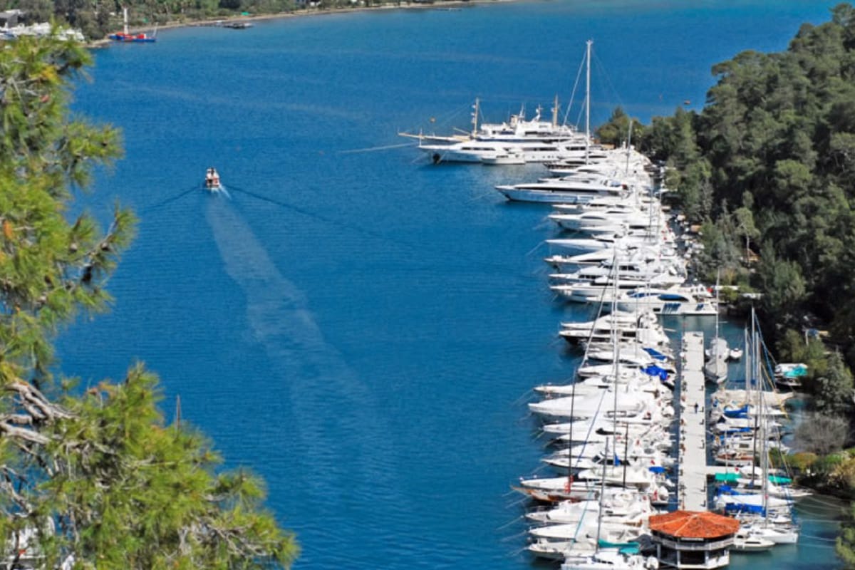 Club Marina - Photo 5