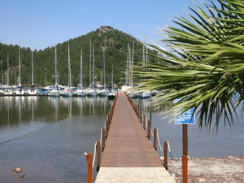 Palmiye Marina - Photo 1