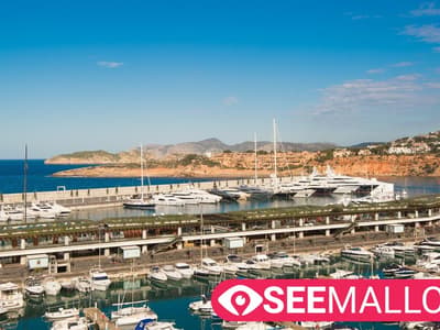 Port Adriano - Photo 3